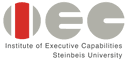 institute-of-executive-capabilities-steinbeis-university-030874c886-logo